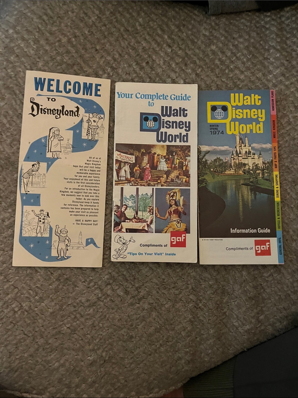 Disney Walt Disney World Guidebook Pair - Blue, Cream